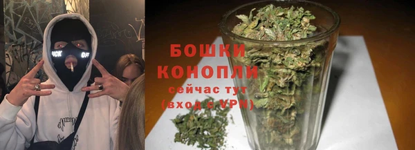соль ск Козельск