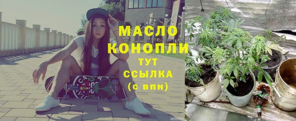 соль ск Козельск