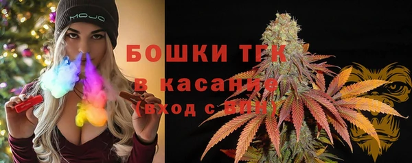 дмт Киреевск