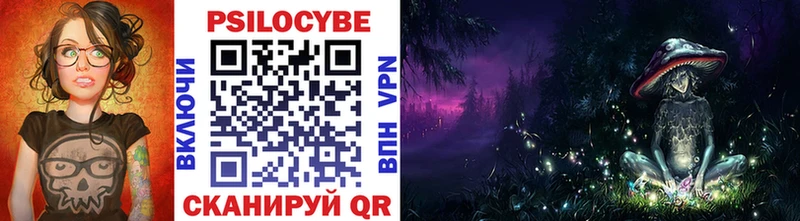 Псилоцибиновые грибы Psilocybine cubensis  Кирово-Чепецк 