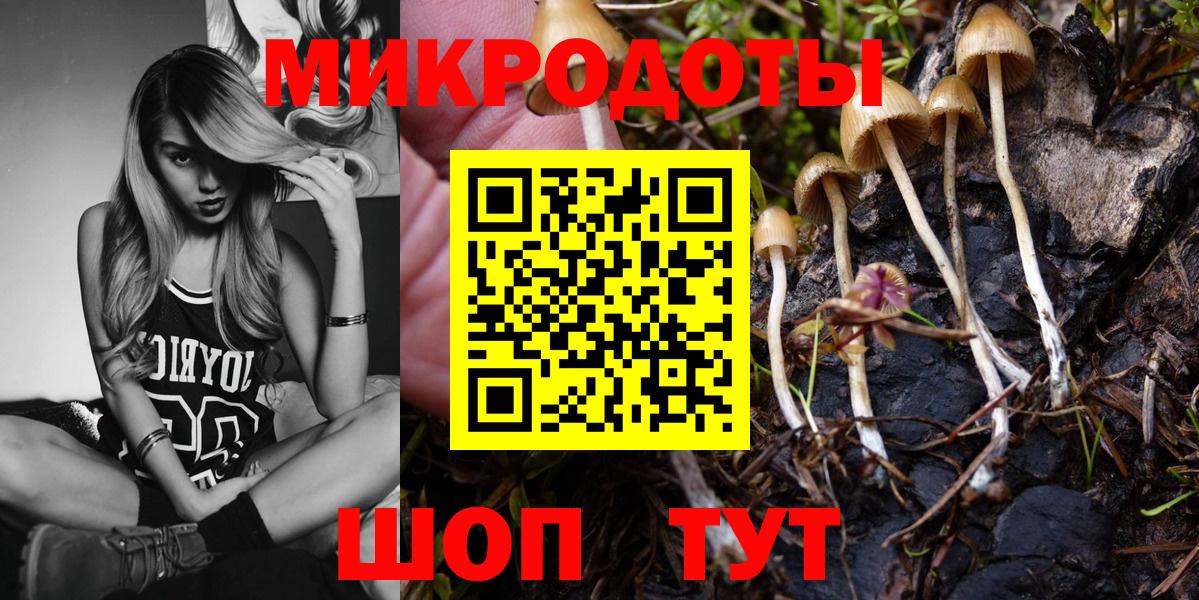 Галлюциногенные грибы Psilocybine cubensis Кирово-Чепецк