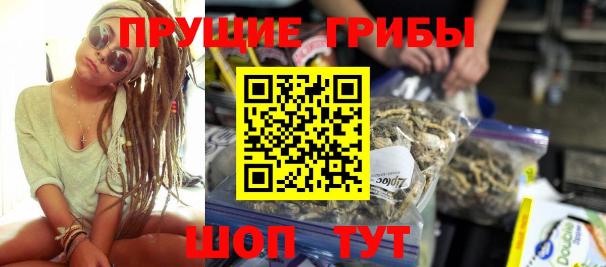 Кирово-Чепецк  Галлюциногенные грибы Psilocybe  Вход с VPN  Псилоцибиновые грибы GOLDEN TEACHER 
